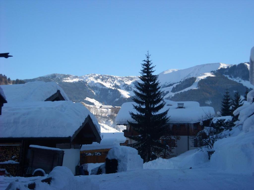 Haus Rieder Georg Apartment Maria Alm am Steinernen Meer Exterior photo